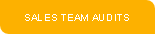SALES TEAM AUDITS